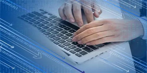 信息技術服務逆勢領漲，新IT持續引領數字化破局